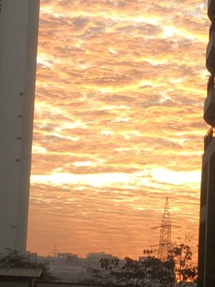 28619129_10213536317430057_6481828807079862920_o